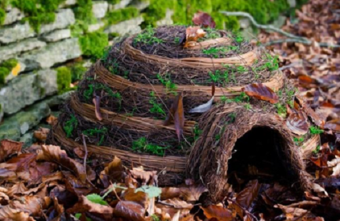 best hedgehog habitats