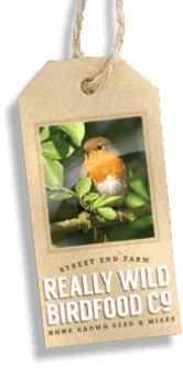 Join the RWBF Mailing List