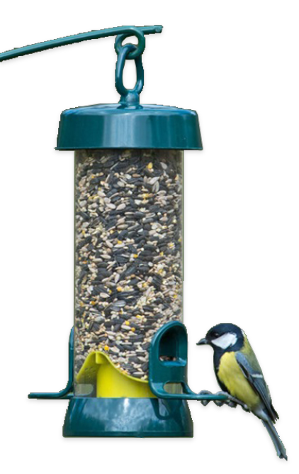 really wild bird food newsletter