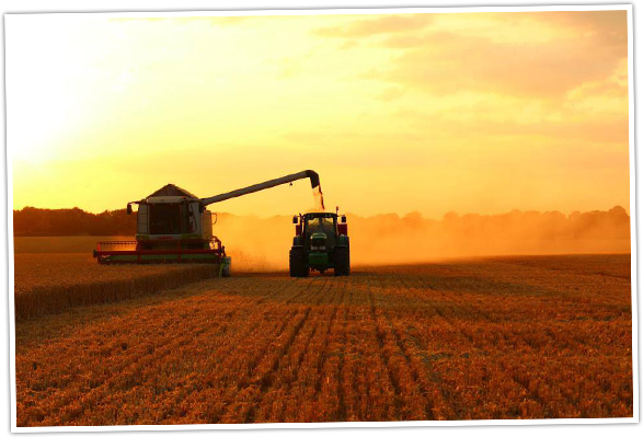 Harvesting