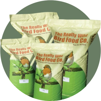 Eco-Friendly Packaging & Recycling