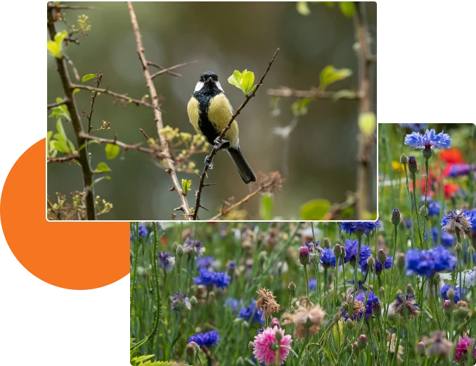 Regenerative Farming Practices