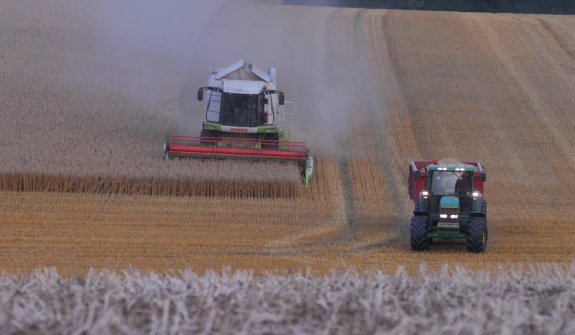 We grow as many of our bird seed ingredients on our farm as possible