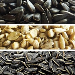 Sunflower Seeds