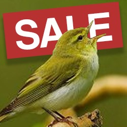 Bird Food Offers | Special Offers | Really Wild Bird Food