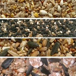 Seed Mixes