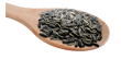 Sunflower Seeds