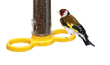 Niger Seed Feeders