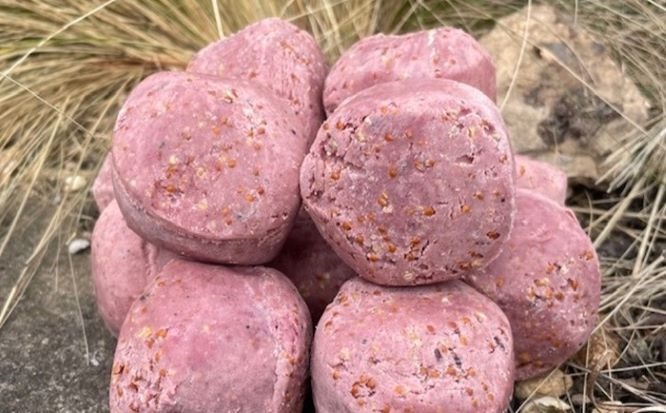 Berry Suet for Birds