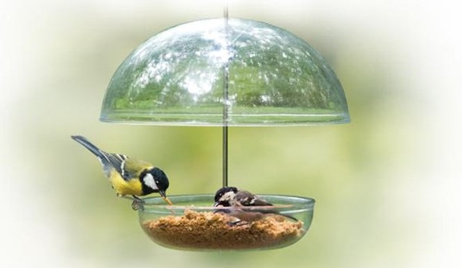 Mealworm Feeders for Small Birds