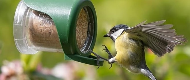 Flutter Butter