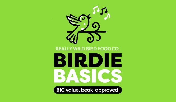 Birdie Basics: Cheap Bird Food from Street End Farm