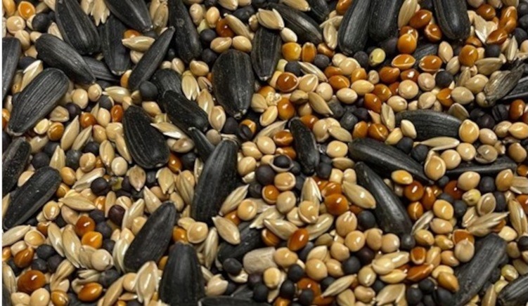 Birdie Basics: Our Best Value Bird Food