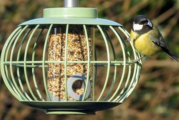 No Mess Bird Feeders