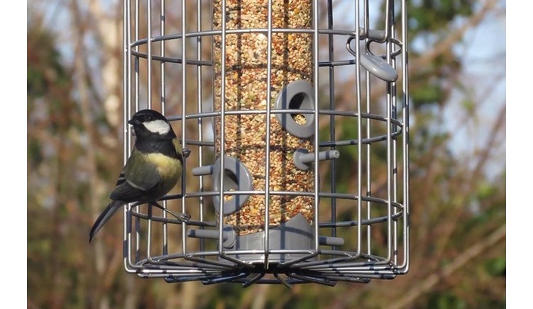 Why Are Bird Feeders That Deter Large Birds Important?