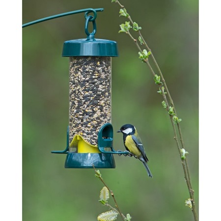 Bird Eating from a Big Easy Bird Feeder