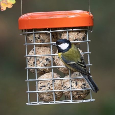 Premium Suet Feeder