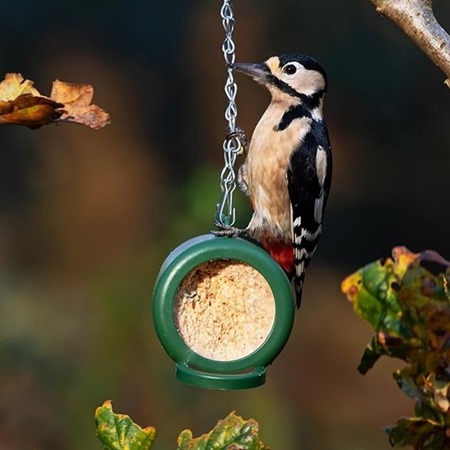 Flutter Butter Feeder for EcoRefills