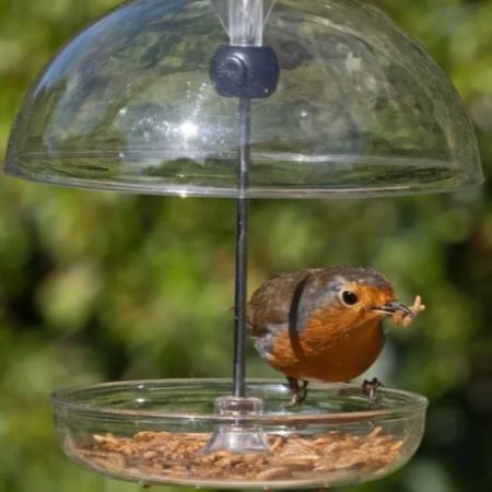 I Love Robins Pearl Feeder