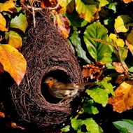 Wildlife Products
