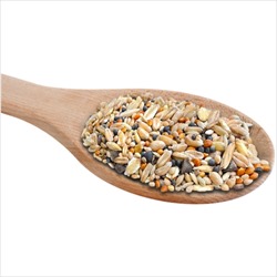 EnviroMix™ - 100% Home Grown Eco-Friendly Bird Food