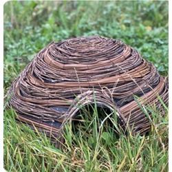 Clearance Hedgehog Dome Home