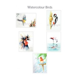 5 Bird Gift Cards