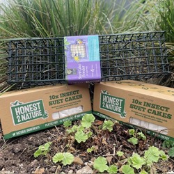 Honest 2 Nature Suet Cakes Buy 2 Boxes Receive a Free Feeder