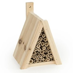 Tortuga Tipi Insect House