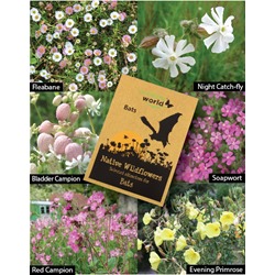 Native Wildflower Seeds for Bats 