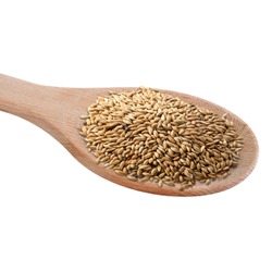 Plain Canary Seed 