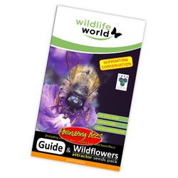 Wildflower Attractor Pack - Pollinating Bees