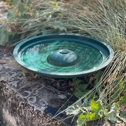 Anywhere Bird Bath