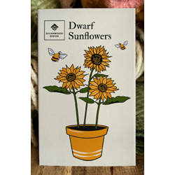 Dwarf Sunflower Seeds