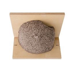 WoodStone® House Martin Nest - Single