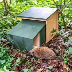 Hedgehog House XL