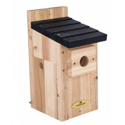 Kolding Simple Cedar Nest Box