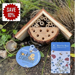 Nooks & Crannies Insect Loft