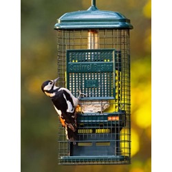 Squirrel Buster Suet