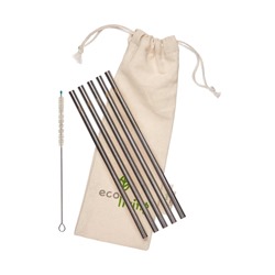5 eco-Living Stainless Steel Smoothie Straight Drinking Straws