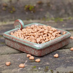 Hedgehog Snack Bowl