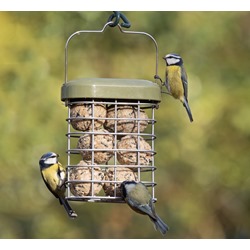 Premium Suet Feeder 