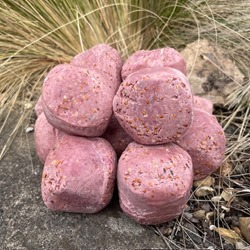 Super Suet Fat Balls With Berry - SAVE 20%