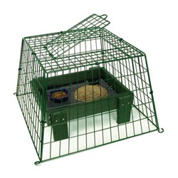 Ground Bird Feeders Really Wild Bird Food