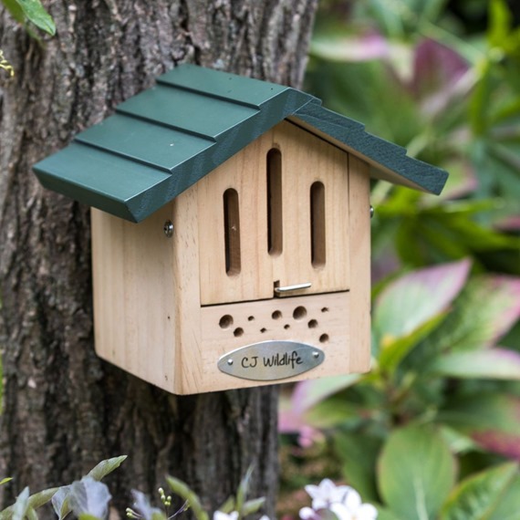 Sybelles Alpine Bee & Butterfly Hotel