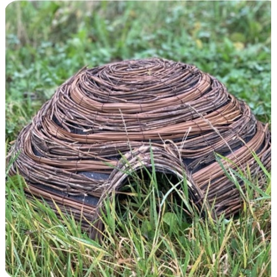 Clearance Hedgehog Dome Home