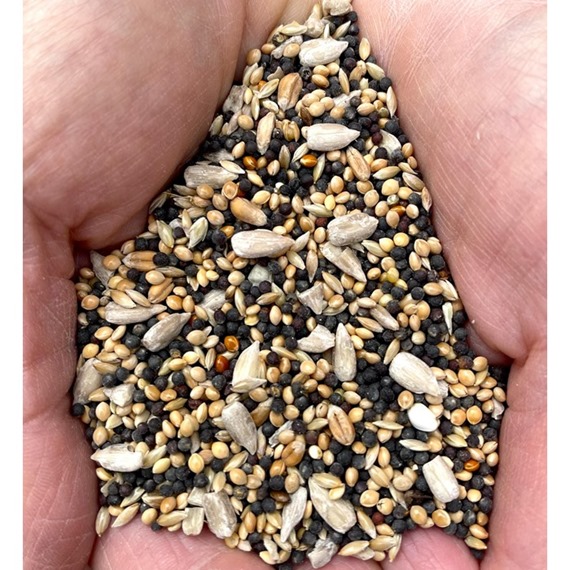 Turtle Dove Seed Mix