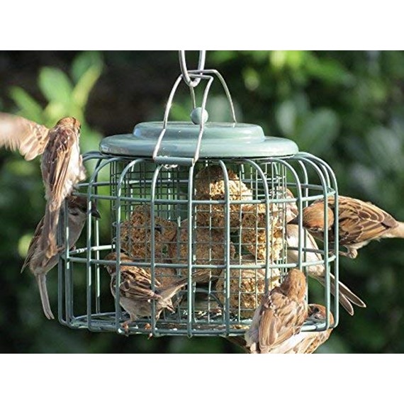Nuttery Oval Caged Feeder 