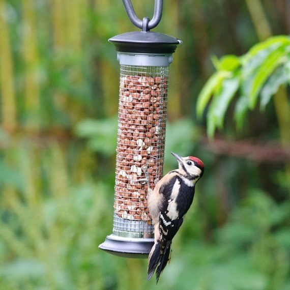 Apollo Peanut Feeder