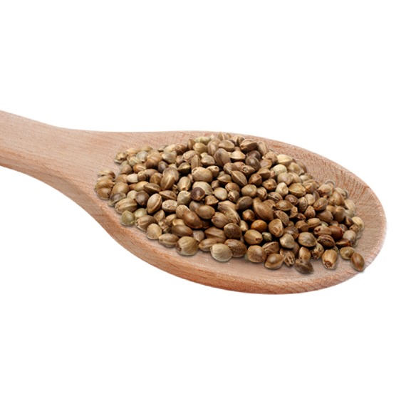 Hemp Seed for Birds | Premium Quality Bird Food